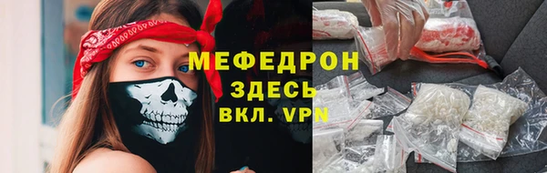 мдпв Инсар